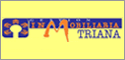 inmobiliaria triana